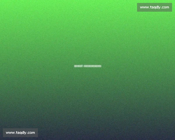 冲撞人生：8 年重庆橄榄球的热血与坚守